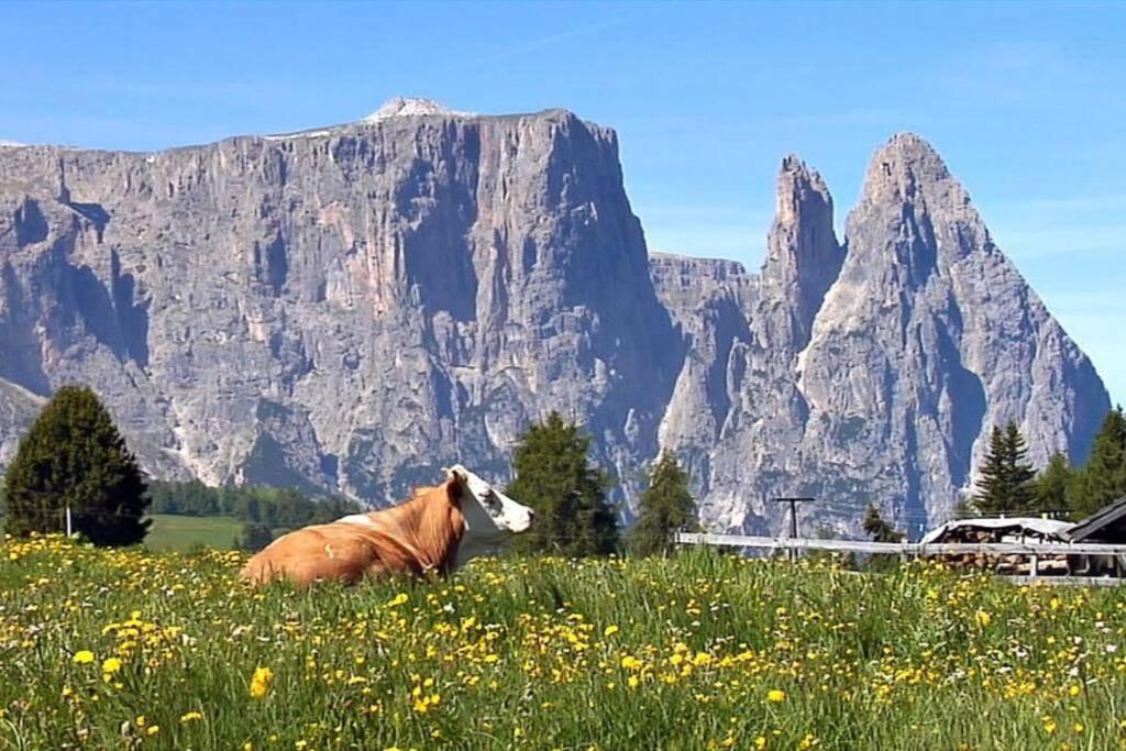 Apartmán Fantastico Monolocale In Siusi Sciliar Exteriér fotografie
