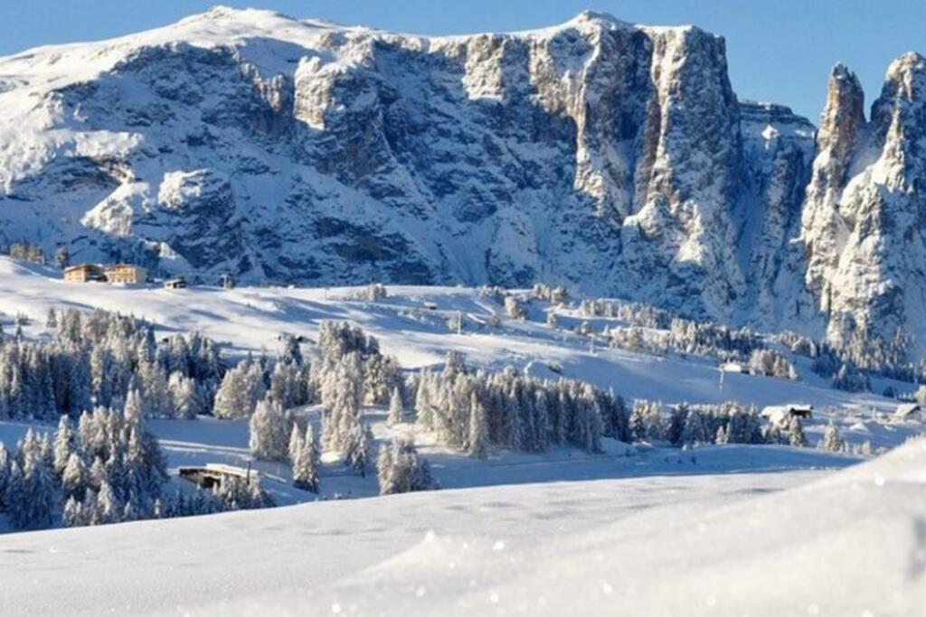 Apartmán Fantastico Monolocale In Siusi Sciliar Exteriér fotografie